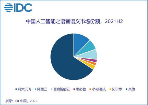 2021年中国人工智能软件市场洞察 应用软件开发引领330亿规模增长